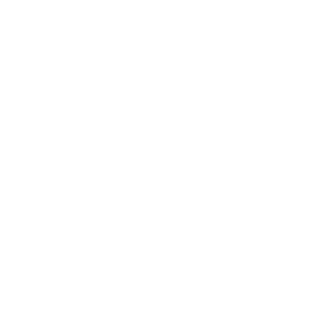 LINK Security & Network Services